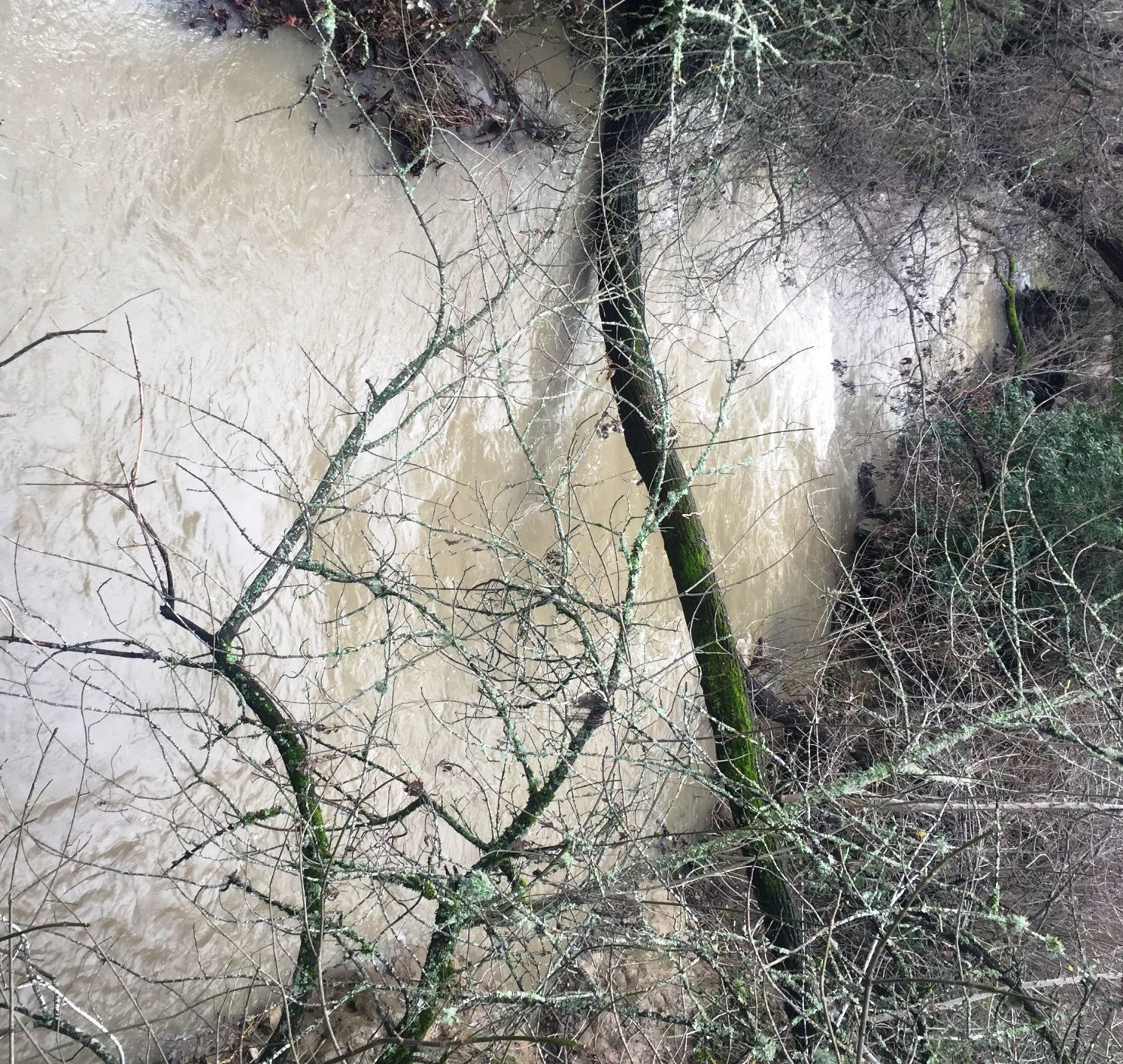 Sulphur Creek